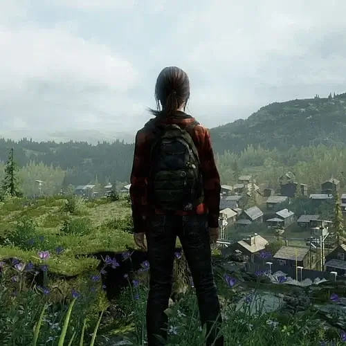 open-world category